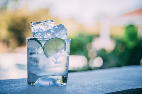 4 of the best gins for premium gin-based cocktails
